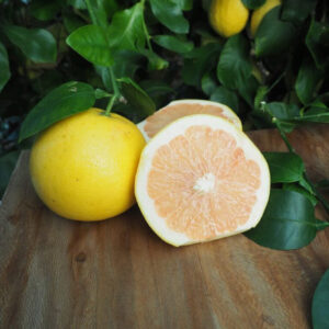 Pomelo Duncan