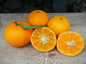 Mandarine De Blidah